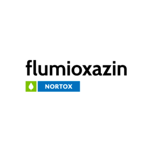 FLUMIOXAZINA 500